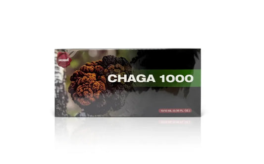 100% Čaga ekstraktas – Juodojo beržo grybo 10 buteliukų